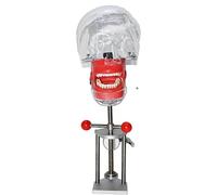 Practical Oral Simulation Dental Model Removable Teeth with Design Support Base for Dentistry and Dental Technology A