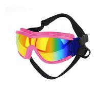 Practical Pet Cats Outdoor For Small Dogs Cats Pet Photos Tool Swimming Cycling Supply