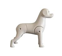Practical Poodle Grooming Training Tool Realistic Artificial Hair or Sturdy Build Model for Beginners Dog Model Mannequin Interchangeable Hair Parts for Styling and Coloring Practice Realistic