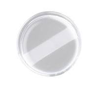 Practical Silicone Cushion Applicator Fashion Cosmetic Puff Easy To Maintain Skin Friendly For Different Makeup Type Transparent Silicone Cushion Puff
