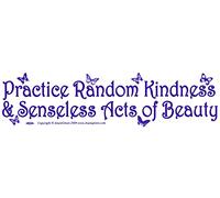 Practice Random Kindness and Senseless Acts of Beauty - Bumper Sticker / Decal (11.5" X 3")