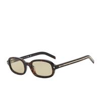 Prada Eyewear D06S Sunglasses Root Tortoise/Light Brown
