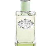 Prada Les Infusions: Infusion Iris Eau de Parfum Unisex 100 ml