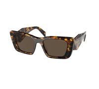 Prada Woman Prada PR 08YS 01V8C1 Sunglasses Acetate Turtle Brown Butterfly Normal