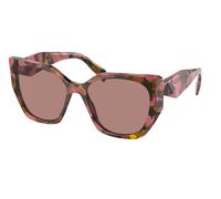 Prada PR 19ZS 18N10D Woman Sunglasses Acetate Brown Brown Pillow Normal