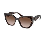 Prada PR 19ZS 2AU6S1 Woman Sunglasses Acetate Turtle Brown Pillow Normal Shaded