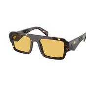 Prada PR A05S 16O10C Man Sunglasses Acetate Brown Yellow Squared Normal