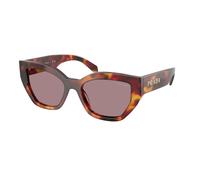 Prada PR A09S 22A20I Woman Sunglasses Acetate Turtle Brown Butterfly Normal