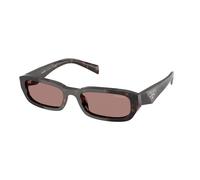 Prada Sunglasses PRB06S 17N60B Root Tortoise Light Brown