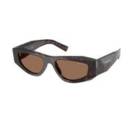 Prada PR B19S 17N06B Man Sunglasses Acetate Turtle Brown Pillow Normal