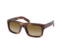 Prada PR D11S 15W20U Man Sunglasses Acetate Turtle Brown Squared Normal Nuanced