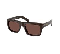 Prada PR D11S 27I90W Man Sunglasses Acetate Brown Violet Squared Normal