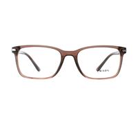 Prada PR14WV Mens Brown Transparent Glasses
