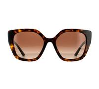 Prada PR24XS Womens Havana Sunglasses