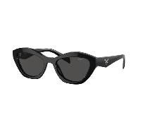 Prada PRA02S 16K08Z Sunglasses