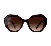 Prada Sunglasses PR16WS 2AU6S1 Tortoise Brown Gradient