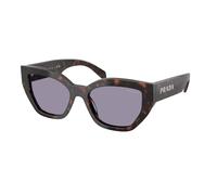 Prada Sunglasses PR A09S 17N03N turtle grey Woman