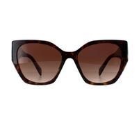 Prada Woman Prada PR 19ZS 2AU6S1 Sunglasses Acetate Turtle Brown Pillow Normal Shaded