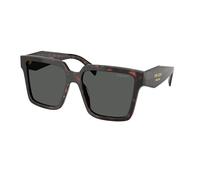 Prada Woman Prada PR 24ZS 17N40L Sunglasses Acetate Turtle Grey Squared Normal