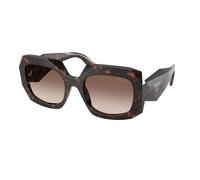 Prada Woman Prada PR B23S 17N10S Sunglasses Acetate Turtle Brown Squared Normal Shaded