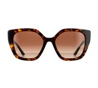 Prada SPR24X 2AU/6S1 Havana/Brown Gradient Sunglasses
