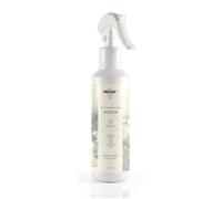 Prady - Home Air Freshener Spray Focus - Aroma Concentration Clear - 220 ml