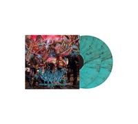 Vulvodynia - Praenuntius Infiniti [VINYL]
