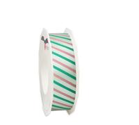 PRÄSENT Malta Gift Ribbon with Wired Edge Mint Green 20 Metres 25 mm Wide Slightly Flexible Ribbon for Decorating & Crafts for Special Occasions