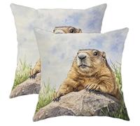 Prairie Dog Pillow Covers Set of 2, Cute Animal Throw Pillows Case, Nature Landscape Decorative Square Cushion Covers for Home Sofa Bed Couch 20x20 Inch