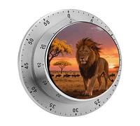 Prairie Lion Mechanical Kitchen Timer 60 Minute Wind Up Countdown Clock with Magnetic Back Loud Alarm Stainless Steel Manual Timer for Cooking Baking Classroom Home Gym