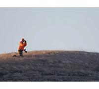 Prairie Pursuit - Mule Deer