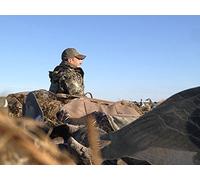 Prairie Pursuit - Saskatchewan Birds
