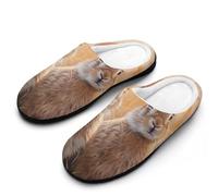 Prairies Hare Rabbits Comfy Women's Slippers Nonslip Indoor House Shoes 11-12（42-43）