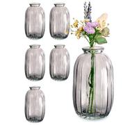 Praknu Glass Bud Vases - Set of 6 Small Glass Vases for Flowers - Vintage-Style - Round Ribbed Vase - Coloured - For Wedding Decor & Table Decorations