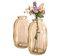 Praknu Small Vases for Table Decoration - Set of 6 Glass Vases - Vintage Style - Round Ribbed Bud Vase - Gold - For Wedding Decor & Home Decorations