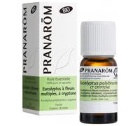 Pranarôm Bio Essential Oil Eucalyptus with Several Flower of Cryptone