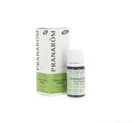 Pranarôm Bio Essential Oil Totum Ylang-Ylang (Cananga odorata) 5ml