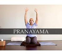 Pranayama: Directing Your Life's Purpose | Days 8, 18, and 28