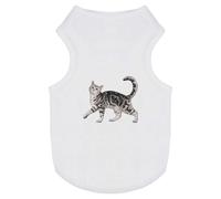 'Prancing Gray Tabby Cat' Pet Dog/Cat T-Shirt (PT00142400)