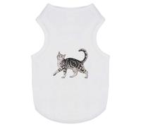 'Prancing Gray Tabby Cat' Pet Dog/Cat T-Shirt (PT00142401)