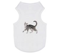 'Prancing Gray Tabby Cat' Pet Dog/Cat T-Shirt (PT00142402)