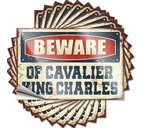 Prank Stickers Beware of Cavalier King Charles Funny Sticker 10 Pcs Funny Sign Decor Funny Bumper Stickers for Adults(6X9CM)