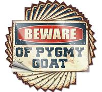 Prank Stickers for Adults Beware of Pygmy Goat Funny Sticker 10 Pcs Funny Sticker Warning Sticker(6X9CM)