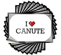 Prank Stickers for Adults I Love Canute Stickers Funny Car Sticker Big Sticker for Car(6X9CM)