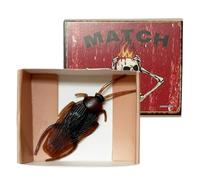 Prank Stuff | Funny Realistic Snake Party Decorations | Kids Prank Boxes - for Christmas Birthday April Fools Offices Party Scare Home Playroom Activity School Travel