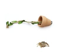 pranovo 2 Pack Jumping Spider Flower Pot Hide with Magnets for Pet Spiders Spoods Jumping Spider Enclosure Accessories Jumping Spider Habitat Decor