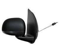 PRASCO FT1247003 Wing mirror