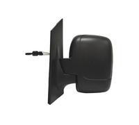 PRASCO FT9237004 Wing mirror