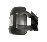 PRASCO FT9307113 Wing mirror