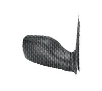 PRASCO PG0057113 Wing mirror